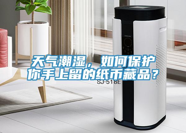 天氣潮濕，如何保護(hù)你手上留的紙幣藏品？