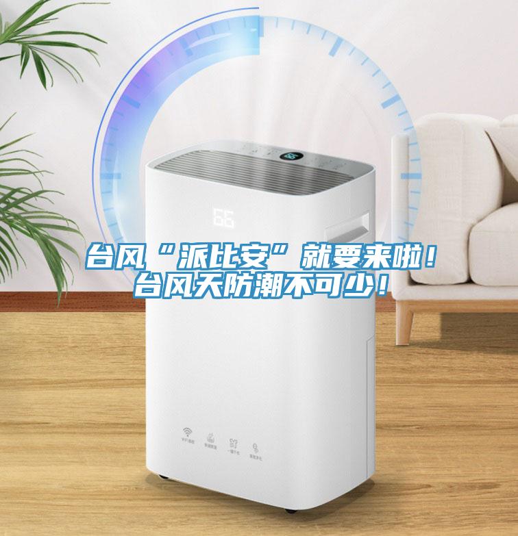 臺風(fēng)“派比安”就要來啦！臺風(fēng)天防潮不可少！