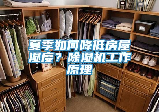 夏季如何降低房屋濕度？除濕機(jī)工作原理