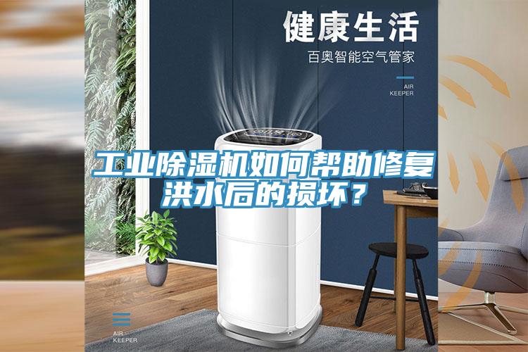 工業(yè)除濕機(jī)如何幫助修復(fù)洪水后的損壞？