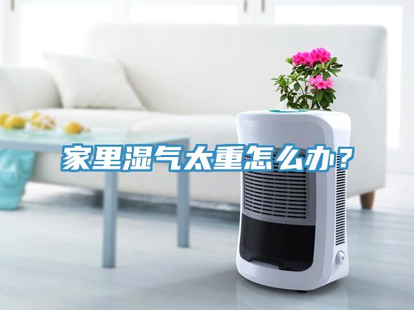 家里濕氣太重怎么辦？