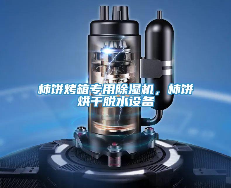 柿餅烤箱專用除濕機(jī)，柿餅烘干脫水設(shè)備