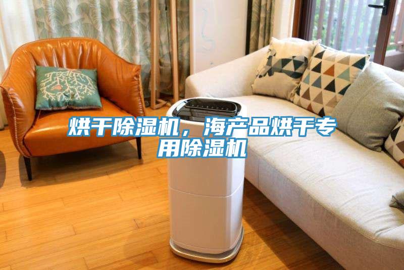 烘干除濕機(jī)，海產(chǎn)品烘干專用除濕機(jī)