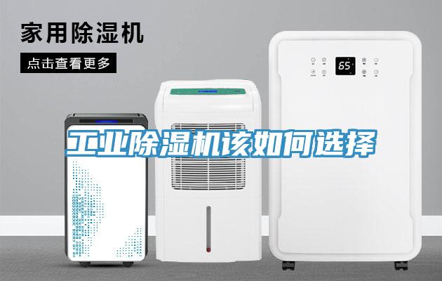 工業(yè)除濕機(jī)該如何選擇