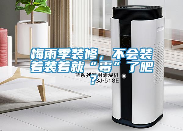 梅雨季裝修，不會裝著裝著就“霉”了吧？