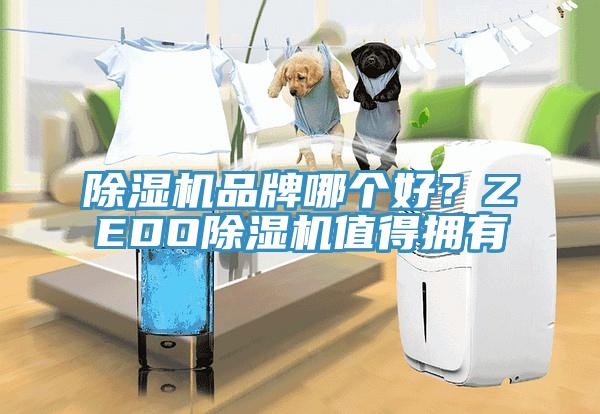 除濕機品牌哪個好？ZEDO除濕機值得擁有