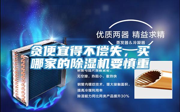 貪便宜得不償失，買(mǎi)哪家的除濕機(jī)要慎重
