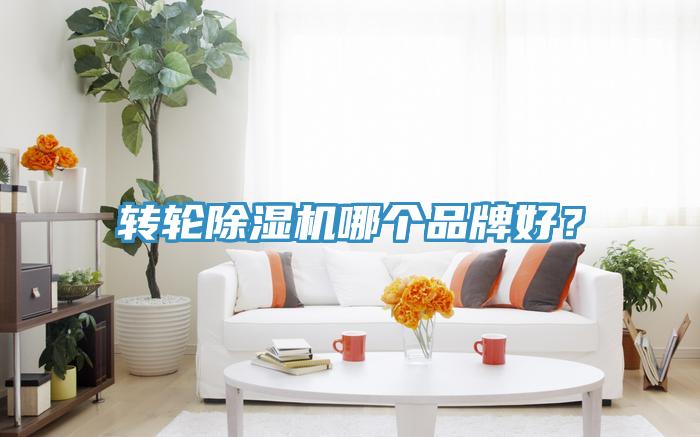 轉輪除濕機哪個品牌好？