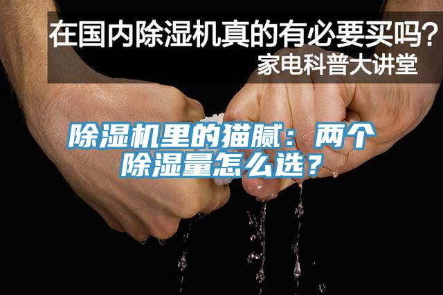 除濕機(jī)里的貓膩：兩個(gè)除濕量怎么選？