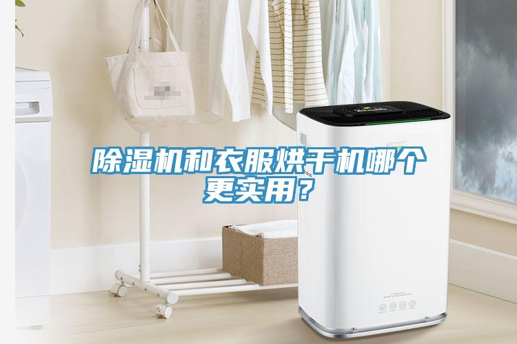 除濕機和衣服烘干機哪個更實用？