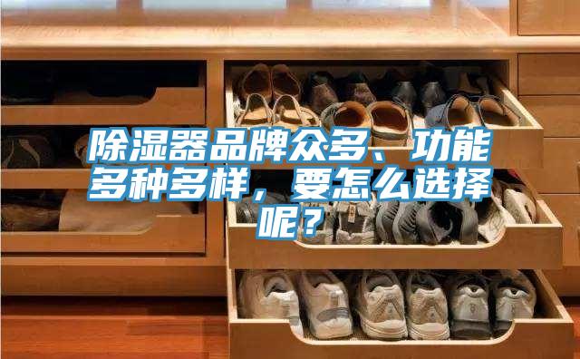 除濕器品牌眾多、功能多種多樣，要怎么選擇呢？