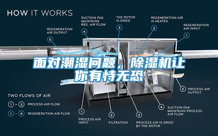 面對潮濕問題，除濕機(jī)讓你有恃無恐