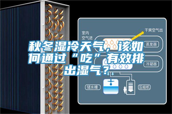 秋冬濕冷天氣，該如何通過(guò)“吃”有效排出濕氣？