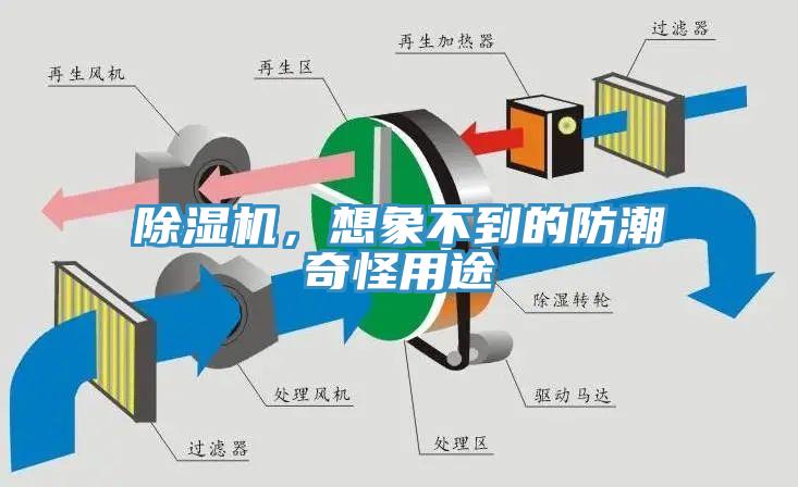 除濕機(jī)，想象不到的防潮奇怪用途