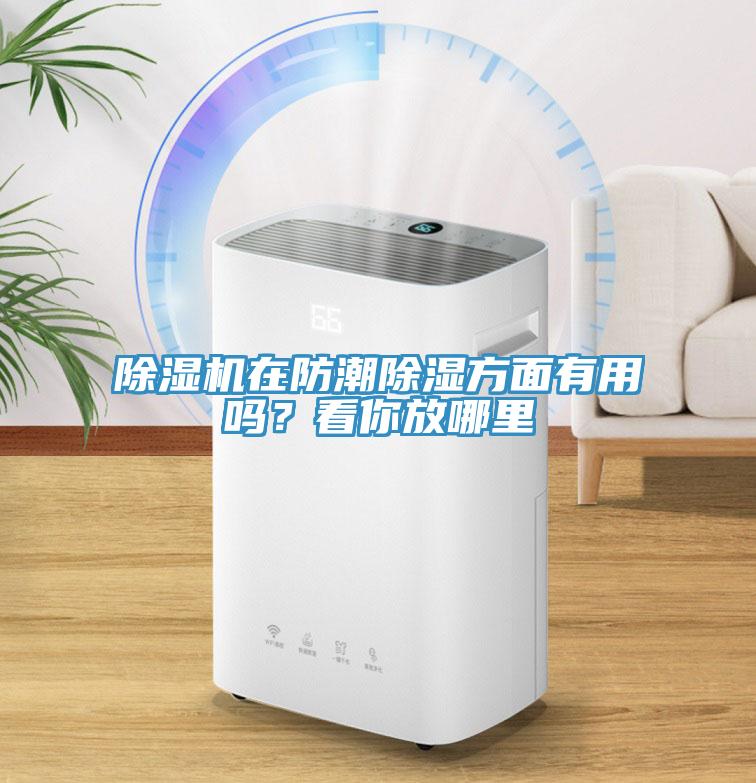 除濕機在防潮除濕方面有用嗎？看你放哪里