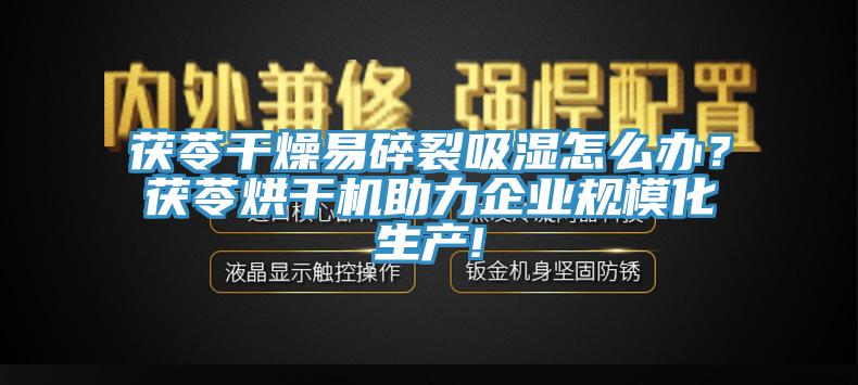 茯苓干燥易碎裂吸濕怎么辦？茯苓烘干機(jī)助力企業(yè)規(guī)?；a(chǎn)!