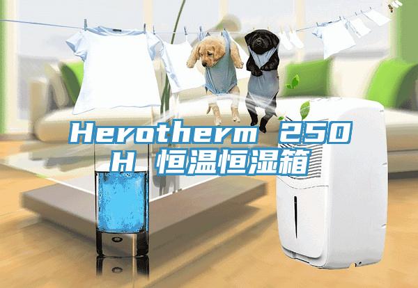 Herotherm 250H 恒溫恒濕箱