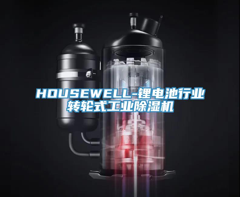 HOUSEWELL-鋰電池行業(yè)轉輪式工業(yè)除濕機