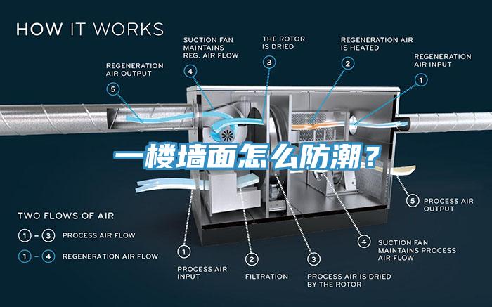 一樓墻面怎么防潮？