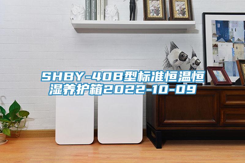 SHBY-40B型標(biāo)準(zhǔn)恒溫恒濕養(yǎng)護箱2022-10-09