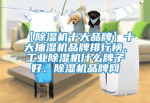 【除濕機十大品牌】十大抽濕機品牌排行榜、工業(yè)除濕機什么牌子好、除濕機品牌網(wǎng)