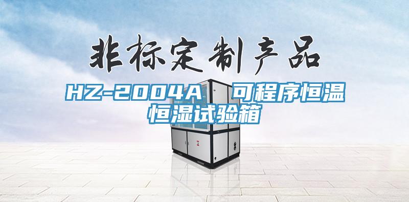 HZ-2004A  可程序恒溫恒濕試驗(yàn)箱