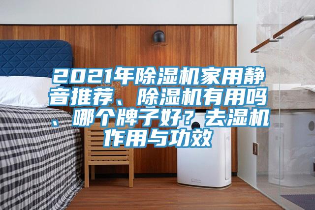 2021年除濕機家用靜音推薦、除濕機有用嗎、哪個牌子好？去濕機作用與功效