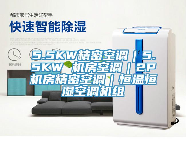 5.5KW精密空調(diào)｜5.5KW 機(jī)房空調(diào)｜2P機(jī)房精密空調(diào)｜恒溫恒濕空調(diào)機(jī)組