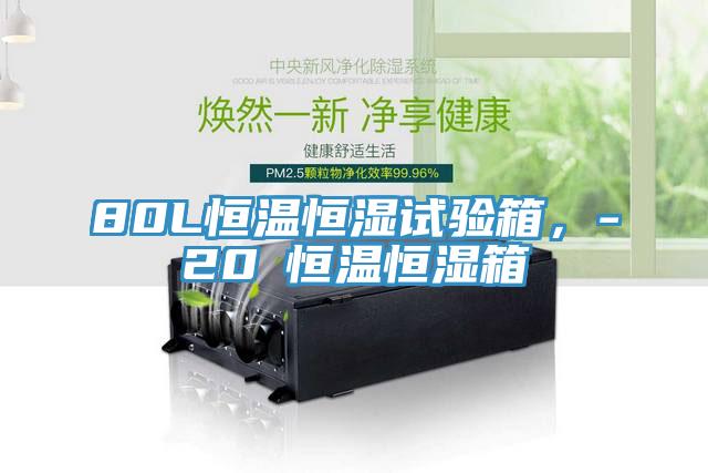 80L恒溫恒濕試驗箱，-20℃恒溫恒濕箱