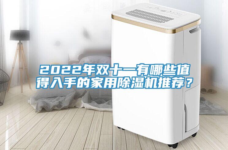 2022年雙十一有哪些值得入手的家用除濕機推薦？