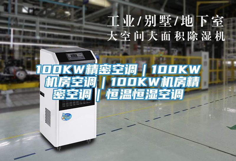 100KW精密空調(diào)｜100KW 機(jī)房空調(diào)｜100KW機(jī)房精密空調(diào)｜恒溫恒濕空調(diào)