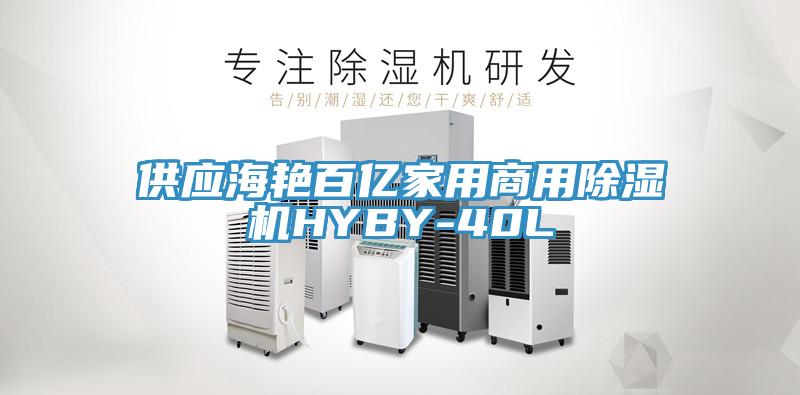 供應海艷百億家用商用除濕機HYBY-40L