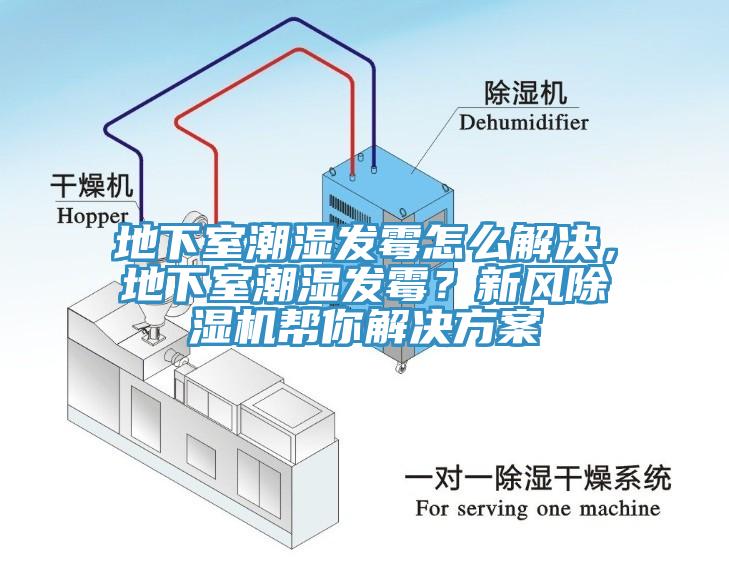 地下室潮濕發(fā)霉怎么解決，地下室潮濕發(fā)霉？新風(fēng)除濕機(jī)幫你解決方案