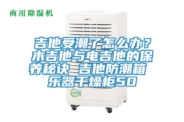 吉他受潮了怎么辦？木吉他與電吉他的保養(yǎng)秘訣 吉他防潮箱 樂(lè)器干燥柜50