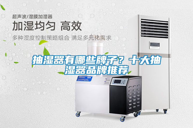抽濕器有哪些牌子？十大抽濕器品牌推薦