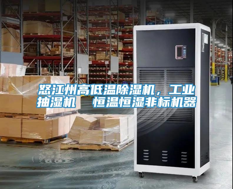 怒江州高低溫除濕機(jī)，工業(yè)抽濕機(jī)  恒溫恒濕非標(biāo)機(jī)器