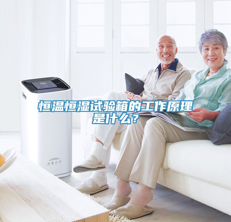 恒溫恒濕試驗箱的工作原理是什么？
