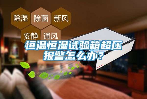 恒溫恒濕試驗箱超壓報警怎么辦？