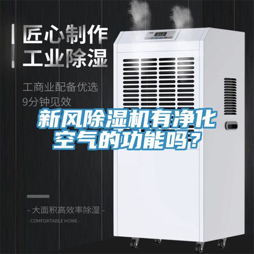 新風除濕機有凈化空氣的功能嗎？