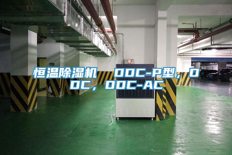 恒溫除濕機(jī)  DDC-P型，DDC，DDC-AC