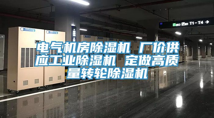 電氣機房除濕機 廠價供應工業(yè)除濕機 定做高質量轉輪除濕機