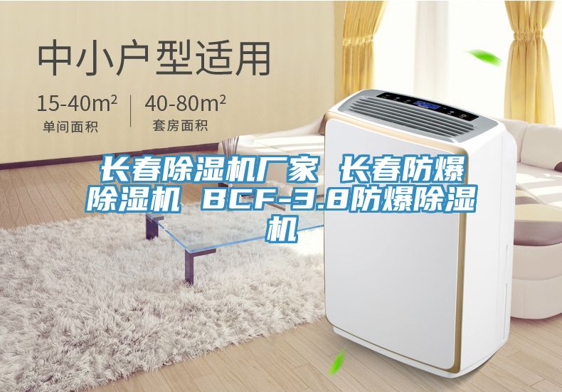 長春除濕機(jī)廠家 長春防爆除濕機(jī) BCF-3.8防爆除濕機(jī)