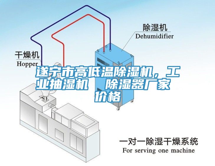 遂寧市高低溫除濕機(jī)，工業(yè)抽濕機(jī)  除濕器廠家 價(jià)格