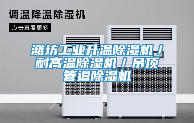 濰坊工業(yè)升溫除濕機／耐高溫除濕機／吊頂管道除濕機