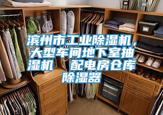 濱州市工業(yè)除濕機，大型車間地下室抽濕機  配電房倉庫除濕器