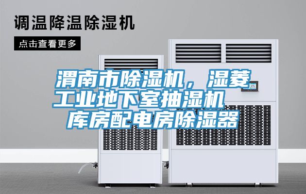 渭南市除濕機，濕菱工業(yè)地下室抽濕機  庫房配電房除濕器