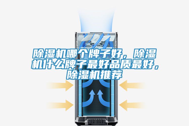 除濕機(jī)哪個(gè)牌子好，除濕機(jī)什么牌子最好品質(zhì)最好，除濕機(jī)推薦