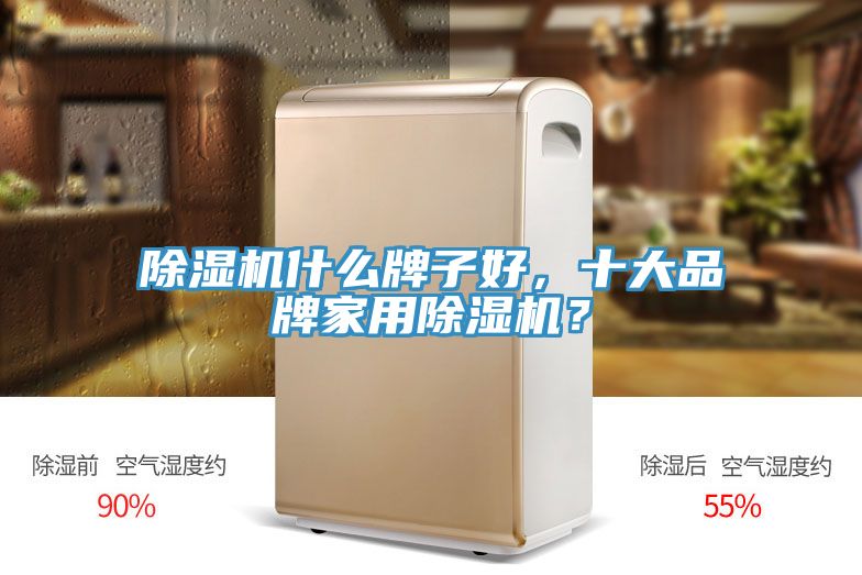 除濕機(jī)什么牌子好，十大品牌家用除濕機(jī)？