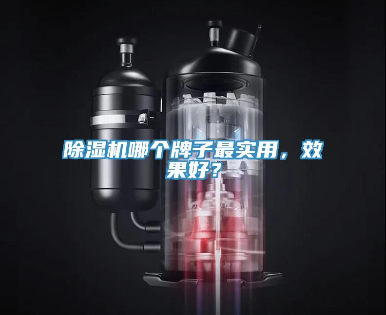 除濕機哪個牌子最實用，效果好？