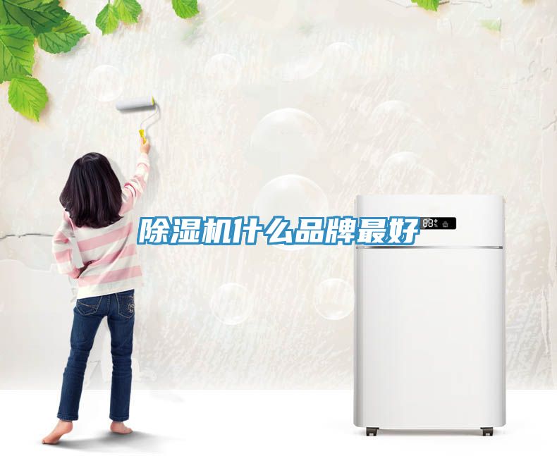 除濕機(jī)什么品牌最好